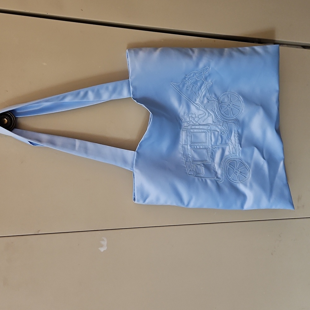 Poor Things Quilted Satin Tote Bag